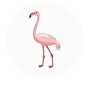 flamingo class icon