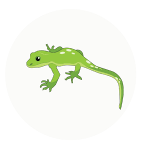Geckos_Class_Icon@150x geckos class icon