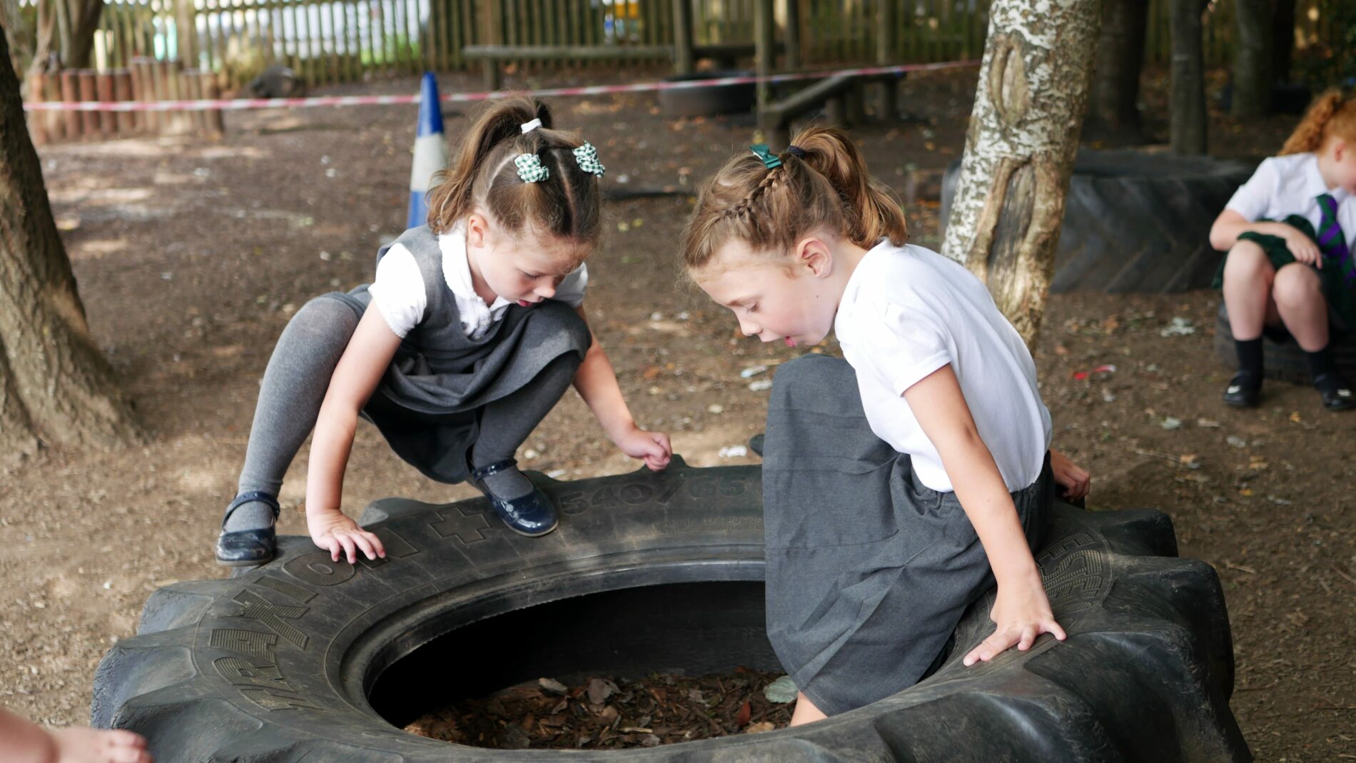 pupils exploring outdoor learning