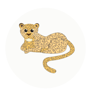 leopards class icon