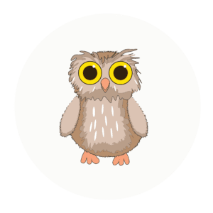owl class icon