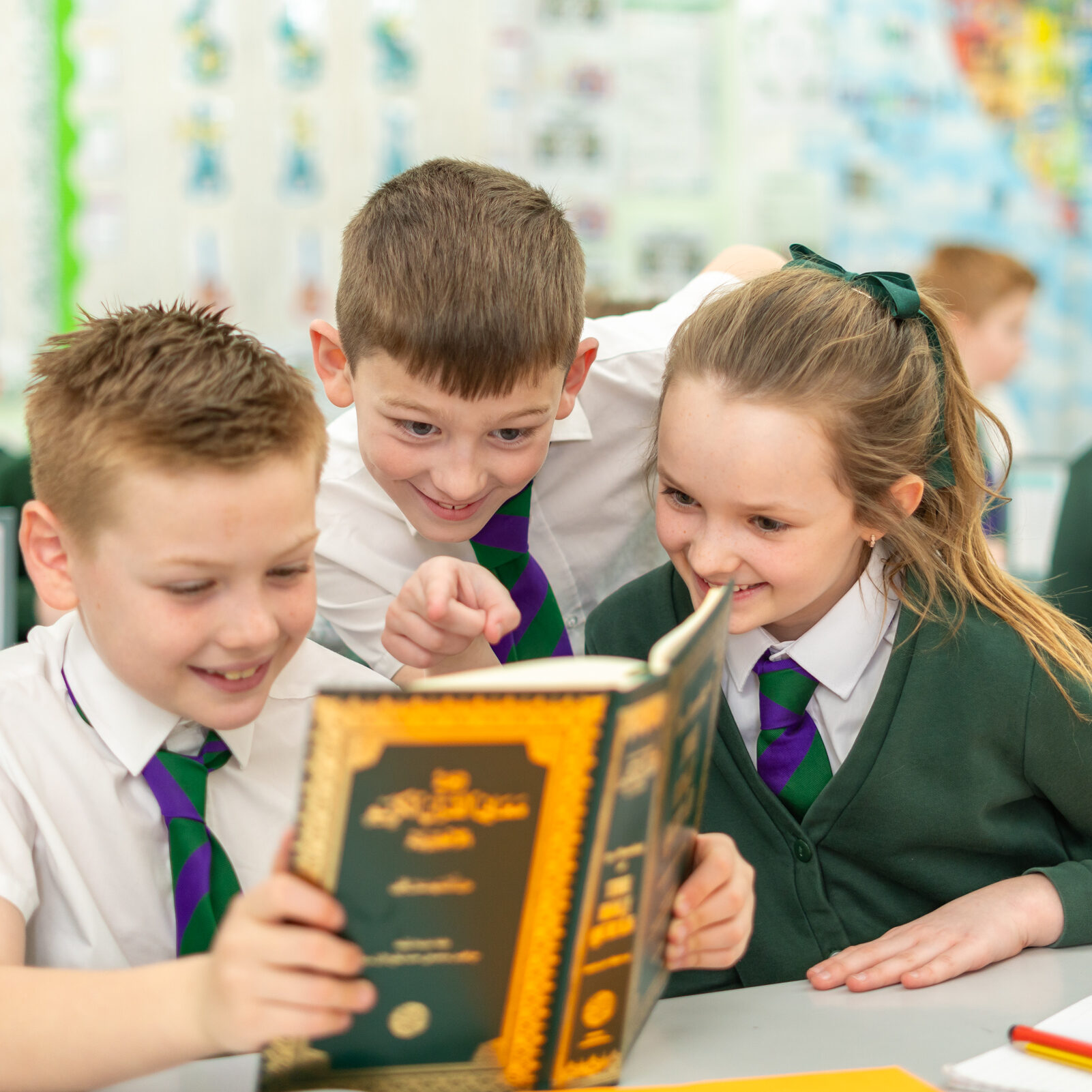 halling-curriculum-8