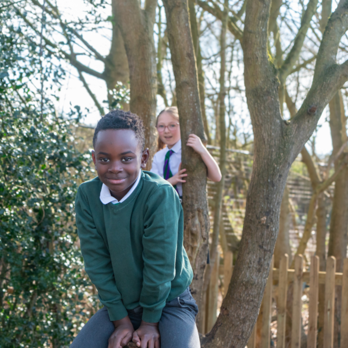 halling-curriculum-36 halling-curriculum-36