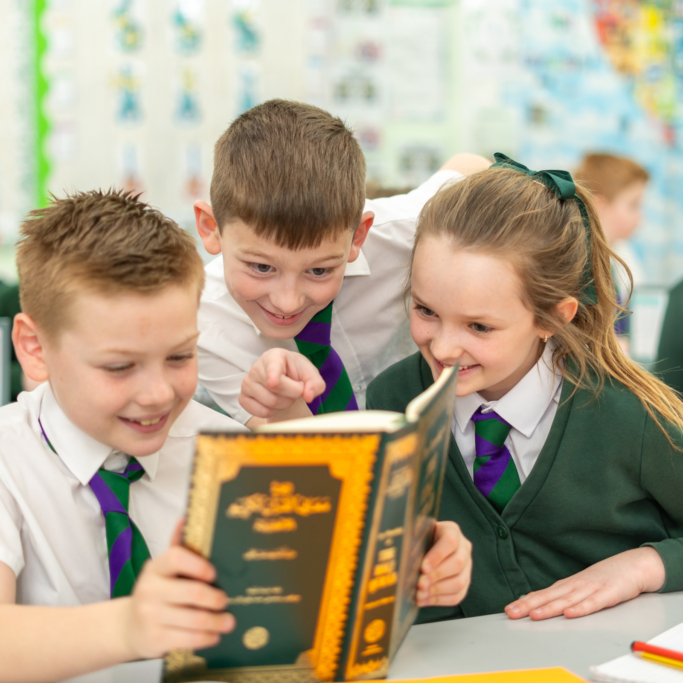 halling-curriculum-8
